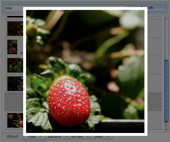 Flickr Viewer with Fruit Photo